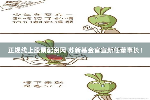 正规线上股票配资网 苏新基金官宣新任董事长！