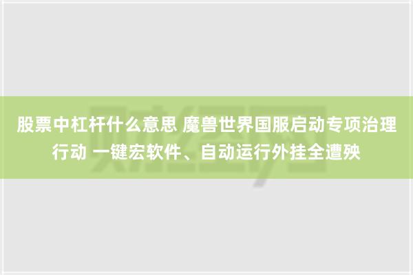 股票中杠杆什么意思 魔兽世界国服启动专项治理行动 一键宏软件、自动运行外挂全遭殃