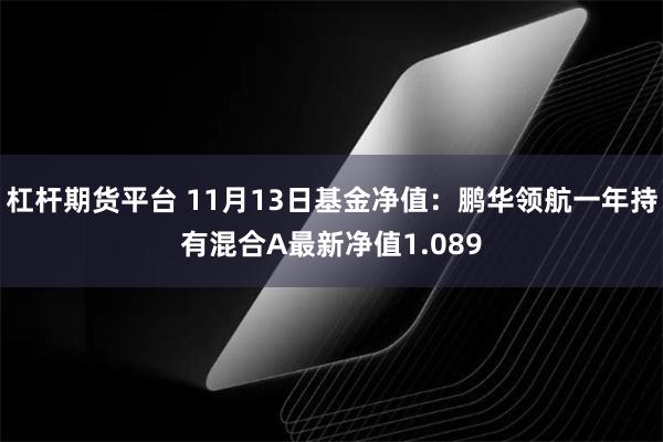 杠杆期货平台 11月13日基金净值：鹏华领航一年持有混合A最新净值1.089