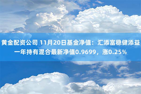 黄金配资公司 11月20日基金净值：汇添富稳健添益一年持有混合最新净值0.9699，涨0.25%