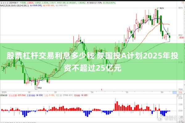 股票杠杆交易利息多少钱 陕国投A计划2025年投资不超过25亿元